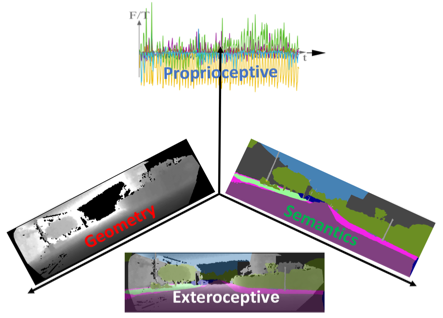 multimodal nature of proprioception and exteroception