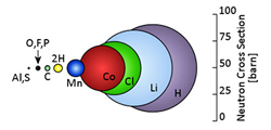 Lithium ion relative size